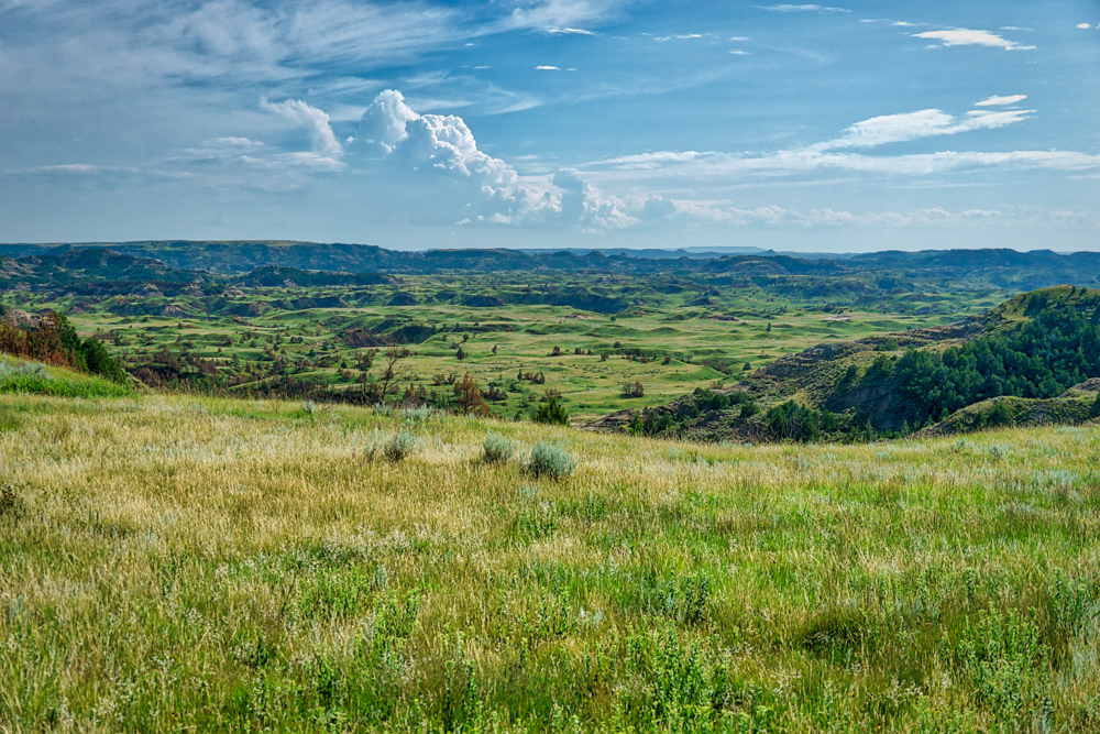 Rolling Hills of Theodore Roosevelt National Park